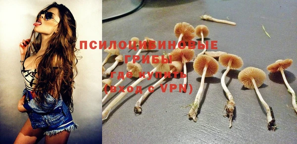спиды Богданович