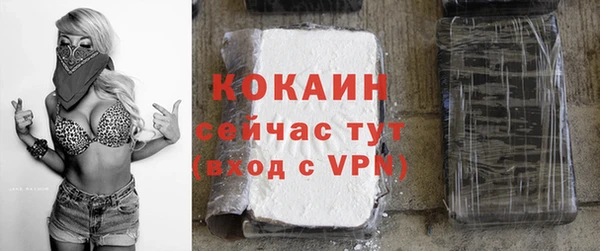 спиды Богданович