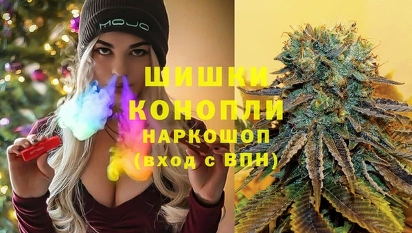 спиды Богданович