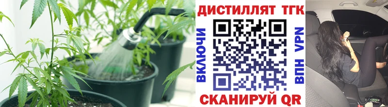 ТГК гашишное масло  блэк спрут сайт  Благодарный 